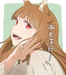  1girl absurdres animal_ears artist_request blunt_bangs brown_hair commentary_request highres holo long_hair looking_at_viewer looking_to_the_side official_art red_eyes solo spice_and_wolf wolf_ears wolf_girl 