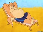2024 absurd_res anilover16 anthro belly big_belly black_nose bottomwear brok_the_investigator brown_body clothing hi_res kangaroo macropod male mammal marsupial moobs overweight overweight_male shorts sin_silver smile solo swimwear