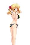  absurdres ass bikini blonde_hair blush breasts hair_ribbon halter_top halterneck highres large_breasts long_hair mouth_hold prism_recollection! ribbon shintarou side-tie_bikini solo swimsuit transparent_background twintails uisaki_hinano 