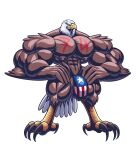 2017 4th_of_july abs accipitrid accipitriform american_eagle american_flag american_flag_underwear anthro avian bald_eagle bird bulge clothed clothing eagle hi_res holidays male muscular muscular_anthro muscular_male nipples pecs sea_eagle solo underwear underwear_only united_states_of_america wolfiecanem