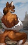 2024 anthro branded brown_body brown_fur brown_hair butt canid canine castle chunie clothing detailed_background dhole digital_media_(artwork) fur hair hi_res looking_at_viewer looking_back male mammal muscular muscular_male outside rear_view river solo tail undressing white_body white_fur