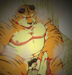 2024 anthro balls belly bodily_fluids erection felid genitals hi_res kemono male mammal moobs nipples overweight overweight_male pantherine penis pubes sauna sitting small_penis solo steam suishou0602 sweat tiger towel