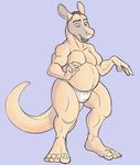  anthro briefs cameroo clothing human hybrid kangaroo male mammal marsupial simple_background solo thick_tail transformation underwear 