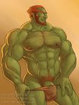  balls beard clothing facial_hair ganondorf headingsouth muscular nintendo nipples penis pubes tagme the_legend_of_zelda underwear video_games 