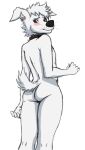  anthro blue_eyes butt canid canine canis collar collar_only domestic_dog embarrassed femboy fur gess11 hair hi_res male mammal multicolored_body multicolored_fur nude pushok short sketch solo tail white_body white_fur 