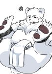  2024 5_toes anthro balls_outline bear bent_legs blush bulge detailed_bulge embarrassed erection eyebrows fangs feet frustrated genital_outline genitals half-closed_eyes hi_res lying male mammal narrowed_eyes navel neck_tuft on_back open_mouth overweight overweight_male pawpads penis polar_bear restrained_arms restrained_legs simple_background solo spread_legs spreading tail teeth tobyou_222 toes towel_on_penis tuft unimpressed ursine white_background 
