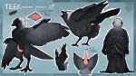  absurd_res animal_genitalia anthro avian avian_feet bird black_body black_feathers claws cloaca cloacal_penis corvid erection feathers feral fluffy genitals hi_res jackdaw male marul marul_art model_sheet oscine passerine penis scuted_legs scutes solo tail tail_feathers talon_hands taloned_hands tapering_penis toe_claws western_jackdaw winged_arms wings 