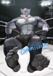  2024 abs absurd_res anthro barazoku biceps big_muscles biped boxing canid canine canis countershade_fur countershading fur grey_body grey_fur hi_res looking_at_viewer male mammal muscular muscular_anthro muscular_male p7ywirzyw8lesuc pecs solo sport white_body white_countershading white_fur wolf 