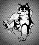  2022 anthro armor bodily_fluids canid canine canis clothed clothing delicious_in_dungeon digestion digital_drawing_(artwork) digital_media_(artwork) domestic_dog fur husky inside_stomach internal japanese_kobold kuro_(delicious_in_dungeon) male mammal melting monochrome multicolored_body multicolored_fur nordic_sled_dog organs pawpads pawplants simple_background solo spitz stomach stomach_acid vore 