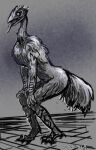 anthro avian bird dragonsica dungeons_and_dragons dwarf_fortress emu feathers feet hands_on_knees hands_on_legs hasbro male monochrome ratite simple_background solo standing tail tail_feathers talons toes tongue tongue_out wizards_of_the_coast 