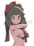  1girl blush bow breasts cachemerro closed_mouth frilled_bow frilled_ribbon frills front_ponytail green_eyes green_hair hair_bow hair_ribbon kagiyama_hina large_breasts long_hair looking_at_viewer navel puff_of_air red_bow red_ribbon ribbon simple_background smile solo touhou upper_body white_background 