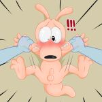  absurd_res anon anthro anus balls blush conditional_dnp digital_media_(artwork) duo feet feet_up first_person_view forced foreskin genitals hi_res humanoid_genitalia humanoid_penis imminent_rape jordanfrechet looking_down macropod male mammal marsupial nickelodeon nude penis pinned pinned_arms pinned_to_ground rocko's_modern_life rocko_rama solo_focus tail teeth wallaby worried 