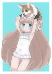  .live 1girl :o akichi_360 animal animal_ears animal_on_head arched_bangs armpits arms_up black_gloves blue_background blue_eyes border bow breasts brown_hair choker covered_navel dog dog_on_head frilled_choker frilled_one-piece_swimsuit frills gloves hair_bow hair_bun highres holding holding_animal holding_dog long_hair looking_at_viewer merry_milk on_head one-piece_swimsuit outline sheep_ears single_side_bun small_breasts solo swimsuit very_long_hair virtual_youtuber welsh_corgi white_border white_bow white_choker white_one-piece_swimsuit white_outline 