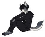  anthro canine clothed clothing fur hair looking_at_viewer male mammal sitting solo teil 
