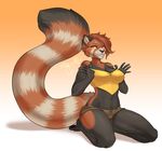  anthro clothed clothing female kittydee kneeling looking_at_viewer mammal navel red_panda smile solo thick_thighs wide_hips 