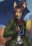  anthro bandanna canine clothed clothing female kuroame mammal outside raining solo standing umbrella 