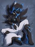  2017 anthro bed bell_collar black_fur blue_highlights breasts canine collar feathers female fur highlights hioshiru looking_at_viewer lying mammal nipples pussy snowy_(yuki-the-fox) solo 