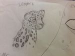  bust_(disambiguation) cat eyes_closed feline leopard mammal sketch spots traditional_media_(artwork) 