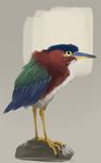  2016 ambiguous_gender angry avian beak bird blue_feathers bombird feathers feral green_feathers heron red_feathers solo wings yellow_eyes 