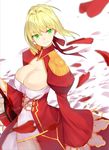  aestus_estus ahoge bangs blonde_hair blurry blush braid breasts cleavage closed_mouth commentary_request depth_of_field dress epaulettes eyebrows_visible_through_hair fate/extra fate_(series) floating_hair french_braid from_side green_eyes hair_between_eyes hair_intakes hair_ribbon hand_up holding holding_sword holding_weapon juliet_sleeves lace-trimmed_sleeves large_breasts long_sleeves looking_at_viewer nero_claudius_(fate) nero_claudius_(fate)_(all) pen_(pen3) petals puffy_sleeves red_dress red_ribbon ribbon sidelocks simple_background smile solo standing sword tsurime weapon white_background 