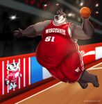 4_toes 5_fingers anthro badger ball basketball belly big_belly black_eyebrows black_hair black_inner_ear_fluff black_nose black_pawpads bottomwear bucky_badger claws clothed clothing college_football english_text eyebrows feet fingers fur gloves_(marking) grey_body grey_claws grey_fur hair hi_res inner_ear_fluff male mammal markings mascot mustelid musteline obese obese_anthro obese_male open_mouth overweight overweight_anthro overweight_male pawpads pink_tongue shibadoodles shirt shorts solo teeth text toes tongue topwear tuft university_of_wisconsin wisconsin wisconsin_badgers