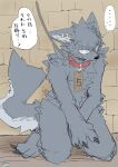 anthro black_nose blush bodily_fluids brick_wall canid canine canis claws collar colored_sketch covering covering_crotch dialogue ear_piercing ear_ring ellipsis finger_claws fluffy fur green_eyes grey_body grey_fur head_tuft hi_res inner_ear_fluff japanese_text juutton kemono kneeling leash leashed_collar male mammal nude offscreen_character piercing ring_piercing sketch snout solo sweat tail text toe_claws translated tuft wall_(structure) wolf