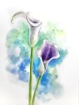  abstract_background artworksmil blue_flower flower no_humans original painting_(medium) plant still_life traditional_media watercolor_(medium) white_background 