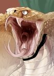 absurd_res ambiguous_form ambiguous_gender bodily_fluids fangs forked_tongue glistening glistening_eyes hi_res imperatorcaesar mouth_shot open_mouth pink_tongue pupils reptile saliva saliva_string scales scalie sharp_teeth slit_pupils snake solo tan_body tan_scales teeth tongue white_body white_scales