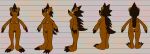 amialido_amdodo_(copyright) anthro breasts brown_body brown_fur brown_hair butt claws female fur genitals hair hi_res lendri_mujina mammal model_sheet navel nipples nude porcupine pubes pussy rodent shielle_spineback solo turnaround