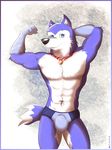  2016 abs anthro armpits biceps briefs bulge canine clothing dog exile_(road_rovers) kcee male mammal muscular navel pinup pose road_rovers solo speedo swimsuit underwear 