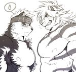  anthro bulge canine feline horkeukamui magan male male/male mammal muscular muscular_male pecs simple_background solo tiger tokyo_afterschool_summoners wolf 