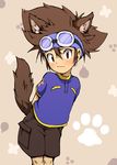  animal_ears blush brown_hair commentary_request digimon digimon_adventure dog_ears dog_tail dogboy goggles highres male_focus okome_(kome_kuma) paw_print solo tail yagami_taichi 