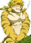  embarrassed feline magan male mammal muscular solo tiger tokyo_afterschool_summonrs 