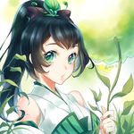  asian_clothes onmyouji tagme ying_grass 