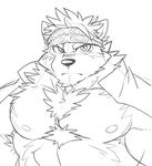  anthro canine horkeukamui male mammal muscular muscular_male pecs simple_background solo takemoto_arashi tokyo_afterschool_summoners wolf 