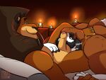 4:3 alex_(madagascar) anthro anthro_on_anthro arm_hair ball_sniffing balls barazoku bed body_hair candle canid canine canis daddy_buck danyredlion domestic_dog dreamworks duo english_text facial_hair feet felid foot_on_back forearm_hair forearms furniture genitals half-closed_eyes hand_holding hi_res jewelry lion madagascar_(series) male male/male mammal mane mature_male molosser mountain_dog muscular muscular_anthro muscular_male mustache mutton_chops narrowed_eyes necklace nipples pantherine pecs penis penis_sniffing romantic romantic_ambiance romantic_couple romantic_sex saint_bernard slightly_chubby slightly_chubby_anthro slightly_chubby_male smile sniffing tail text whiskers 
