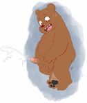  balls bear cartoon_network celestial grizzly_(character) grizzly_bear humanoid_penis male mammal masturbation penile_masturbation penis solo we_bare_bears 