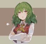  1girl =3 ascot bangs breasts brown_background commentary_request crossed_arms eyebrows_visible_through_hair green_hair grey_background hair_between_eyes highres kazami_yuuka long_sleeves looking_at_viewer medium_breasts parted_lips plaid plaid_vest red_eyes red_vest rin_falcon shirt short_hair solo touhou two-tone_background upper_body vest white_shirt wing_collar yellow_neckwear 