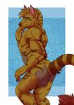  anthro balls canine fur hair l-i-t-t-l-e_f-i-r-e looking_at_viewer male mammal nude solo stripes 