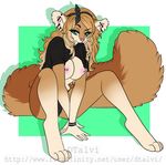  anthro breasts canine dtalvi female looking_at_viewer mammal nipple_piercing nipples piercing shirt_up sitting smile solo 