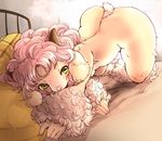  furry green_eyes long_hair pink_hair setouchi_kurage sheep 