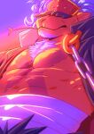 anthro athletic bancholeomon bandai_namco body_hair chest_hair chest_tuft clothed clothing digimon digimon_(species) hi_res male mrfulero muscular solo sunset tuft