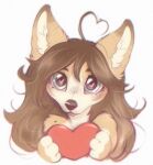 &lt;3 &lt;3_eyes 2024 anthro brown_body brown_fur brown_hair canid canine canis digital_media_(artwork) dingo fur hair holding_object inner_ear_fluff looking_at_viewer mammal simple_background solo tan_body tan_fur tuft white_background yshanii