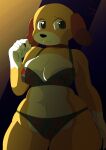 absurd_res clothing hi_res lingerie martha_lorraine martha_speaks pear-shaped_figure smile tagme thick_thighs toonarscontent wide_hips