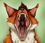 absurd_res anthro bodily_fluids brown_hair canid canine drooling drooling_tongue ears_up eyes_closed fangs flesh_tunnel flesh_wall fluffy_ears fox gaping_mouth green_background green_eyes hair hi_res male mammal mouth_shot open_mouth oral portrait realistic_anatomy red_body red_fox saliva saliva_on_tongue salivating sharp_teeth simple_background solo teeth teeth_showing throat thux-ei tongue vore