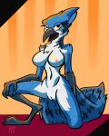 4:5 anthro areola avian avian_arms avian_feet beak bird blue_jay breasts corvid digital_drawing_(artwork) digital_media_(artwork) feather_markings feather_tuft feathers female genitals hi_res jay_(bird) kneeling looking_at_viewer markings navel new_world_jay nipples non-mammal_breasts non-mammal_navel non-mammal_nipples non-mammal_pussy nude open_mouth oscine passerine pussy shaded simple_background simple_shading slim solo tail tail_feathers tuft vike_mike wingless_avian