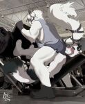 absurd_res anthro blush bottomwear butt_sniffing canid canine canis clothing crouching duo exercise footwear fox hi_res kai_(kaleochu) lying male male/male mammal meme mihoyo on_back shirt shoes shorts side_view sniffing tail_harness tank_top the_lycander topwear von_lycaon wolf workout zenless_zone_zero