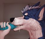  ambiguous_gender anthro blue_penis canine cum cum_in_mouth cum_inside disembodied_penis duo erection eyes_closed fellatio fur hair male mammal open_mouth oral penis sex vein zumjakal 