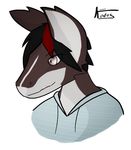  2017 alpha_channel anthro bust_(disambiguation) clothed clothing digital_media_(artwork) fur hair ko kodus male mammal simple_background smile solo transparent_background 
