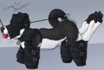 all_fours anal anal_hook anal_penetration anthro anthro_penetrated arms_bent ball_gag bdsm bdsm_gear bent_legs bitchsuit black_body black_fur black_pawpads blindfold blue_background bodily_fluids bondage_gear border_collie canid canine canis chastity_cage chastity_device collar collie domestic_dog drooling facial_piercing fur gag gagged herding_dog hood hook_in_ass hook_penetration leash leashed_collar leather male male_penetrated mammal mask nose_piercing nose_ring pastoral_dog pawpads paws penetration petplay piercing pisspet puppyplay ring_piercing roleplay saliva sheepdog simple_background solo submissive submissive_anthro submissive_male white_body white_fur